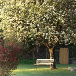 Schlossgut Gundersdorf Biobauernhofurlaub
