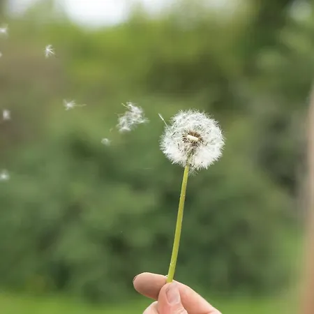 Schlossgut Gundersdorf *