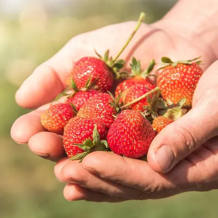 Schlossgut Gundersdorf Klagenfurt am Woerthersee