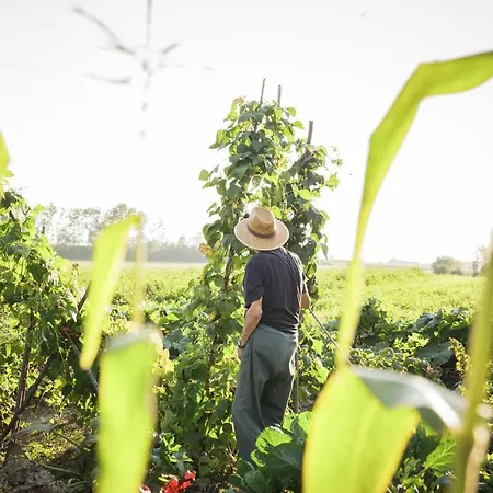 Schlossgut Gundersdorf * クラーゲンフルト
