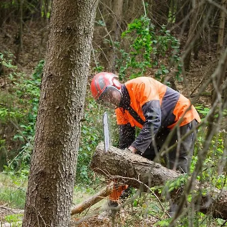 ファームステイ Schlossgut Gundersdorf