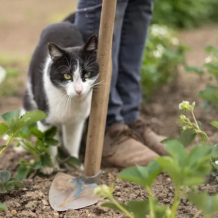 Schlossgut Gundersdorf