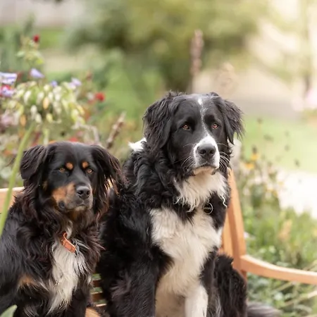 Lantgård Schlossgut Gundersdorf Klagenfurt am Woerthersee