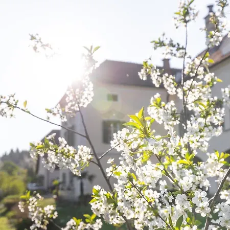 Schlossgut Gundersdorf Biobauernhofurlaub ファームステイ