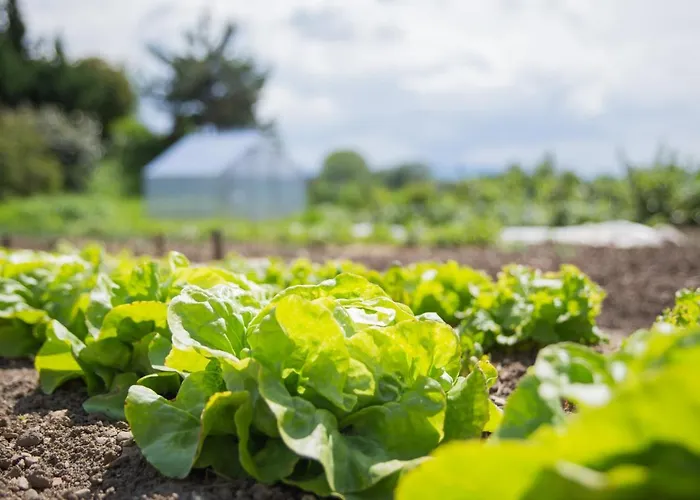 Bauernhof Schlossgut Gundersdorf