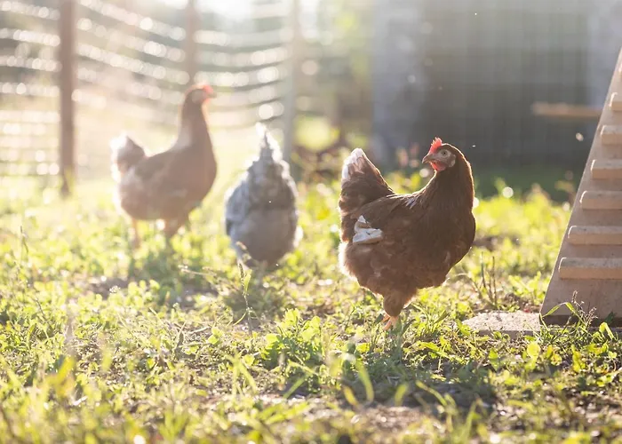 Schlossgut Gundersdorf קלגנפורט