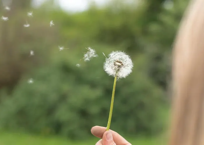 Schlossgut Gundersdorf *