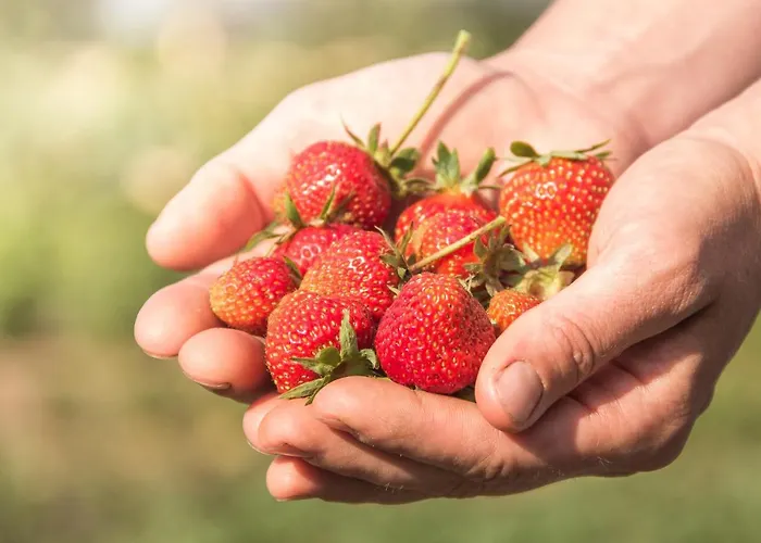 Schlossgut Gundersdorf קלגנפורט