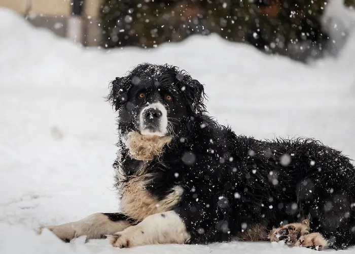 Schlossgut Gundersdorf Farm stay