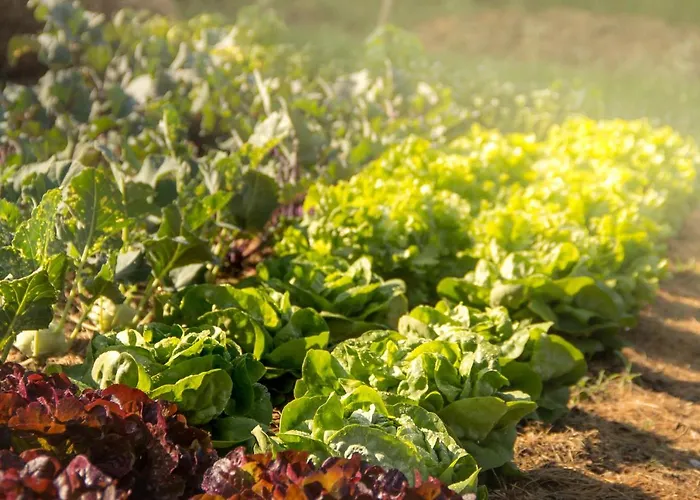 Schlossgut Gundersdorf קלגנפורט