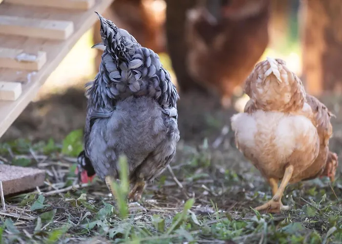 Schlossgut Gundersdorf