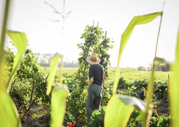 Schlossgut Gundersdorf * Klagenfurt am Woerthersee