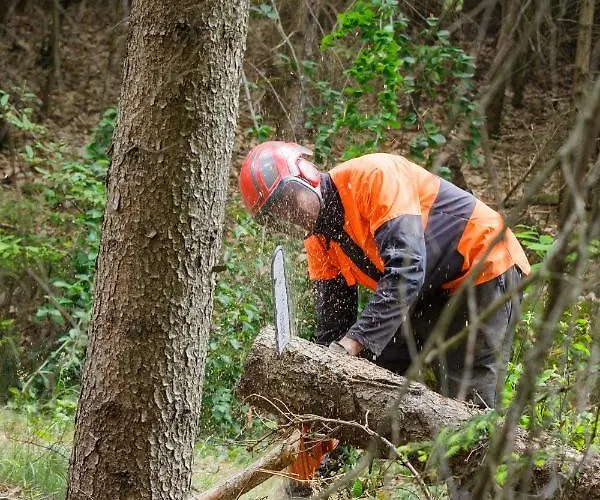 בית חווה Schlossgut Gundersdorf