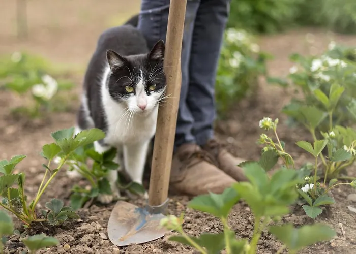 Schlossgut Gundersdorf