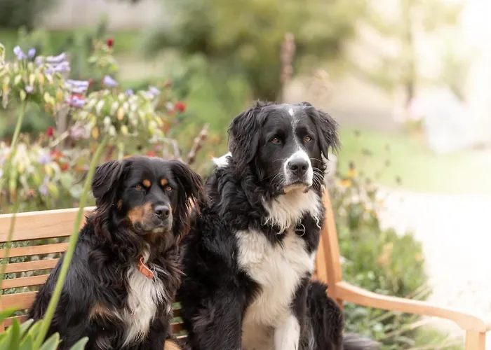 Farm stay Schlossgut Gundersdorf Klagenfurt am Woerthersee