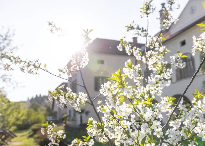 Schlossgut Gundersdorf Farm stay